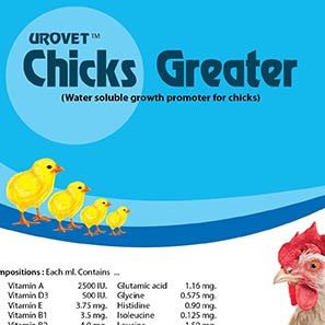 Chicks Greaters
